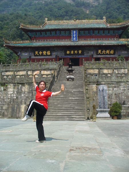 Image: /media/?path=/trips/2007-08-13 China/2007-08-21_Wudang/20070821-110942-0-Ant.jpg